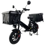 Export 16 double electric double take-out box front and rear oil dish performance version of high-power electric bicycle